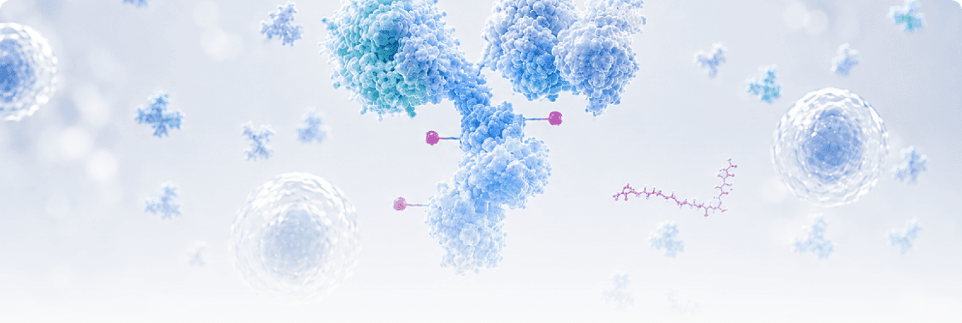 ADC Target Proteins